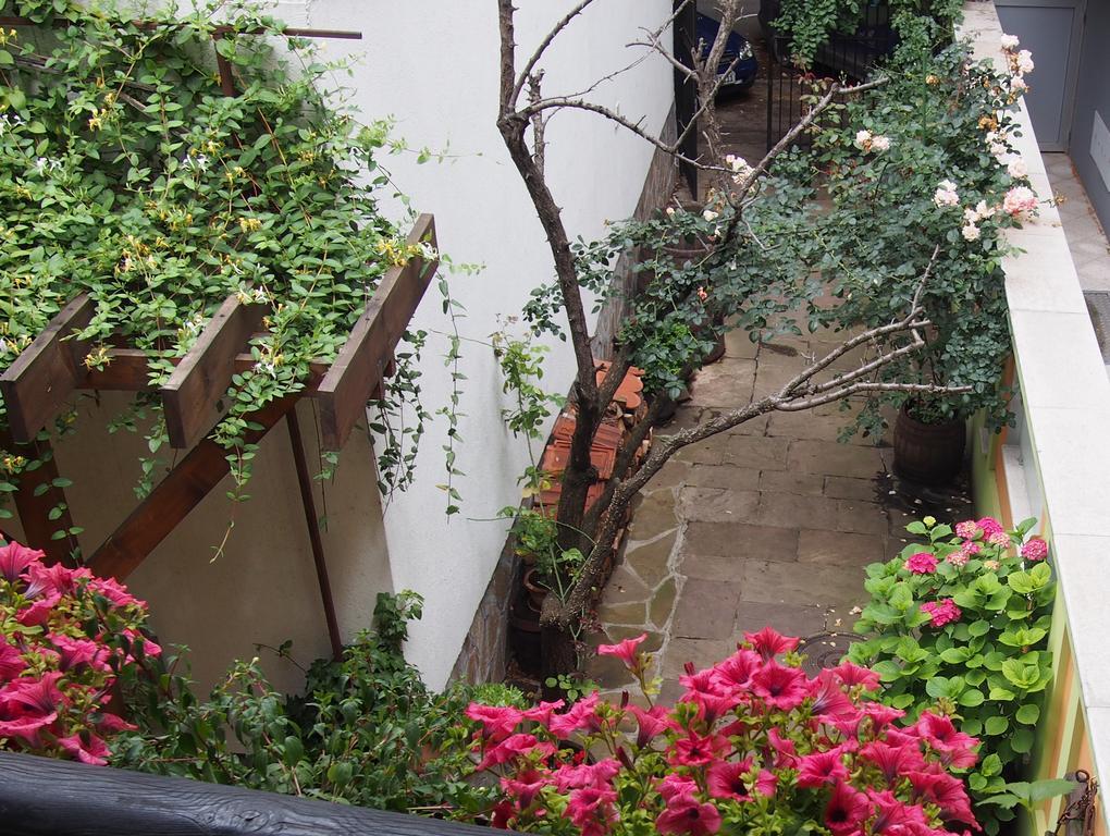 Guest Accommodation Etno Konak Tasana Ниш Экстерьер фото