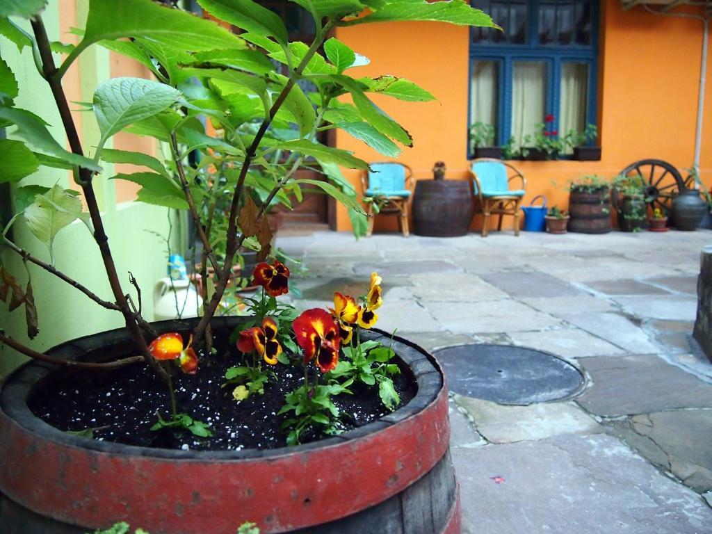 Guest Accommodation Etno Konak Tasana Ниш Экстерьер фото