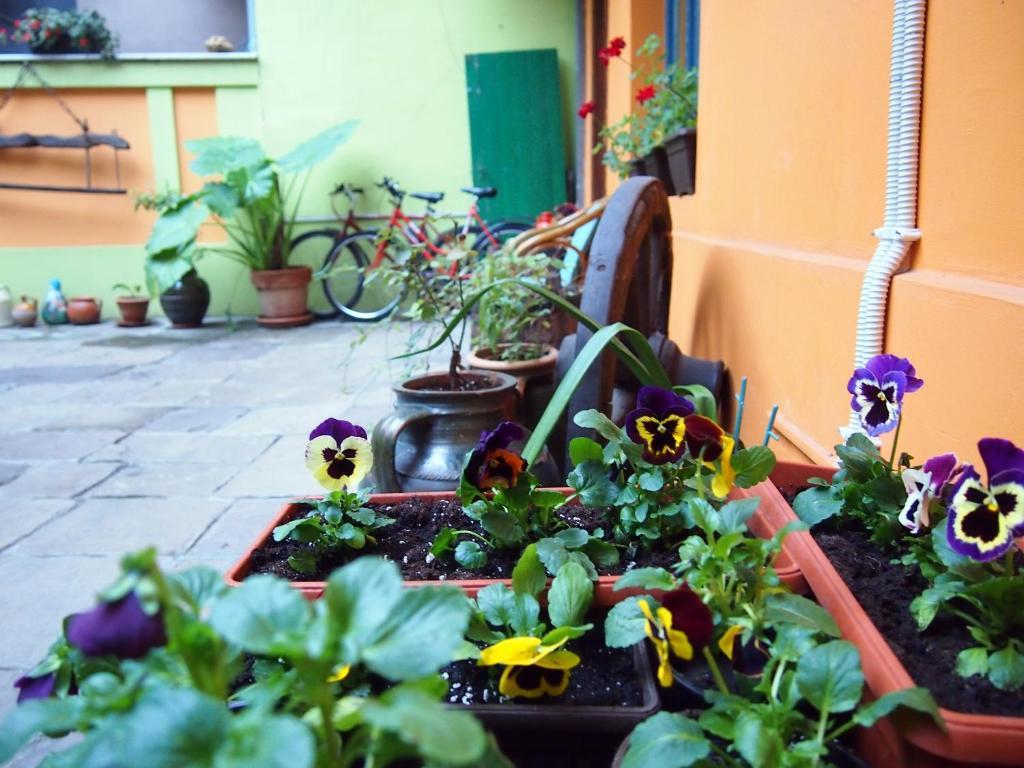Guest Accommodation Etno Konak Tasana Ниш Экстерьер фото